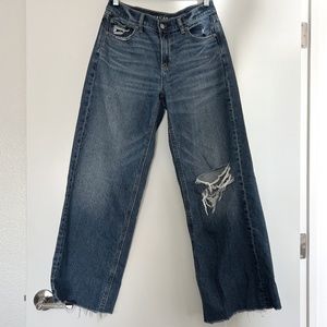 AE low rise skater jeans